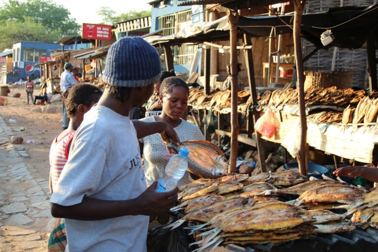 strengthening-food-systems-in-zambia-global-panel