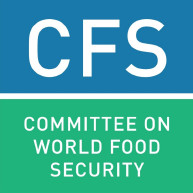 Cfs Logo