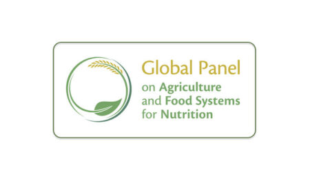 Globalpanellogo